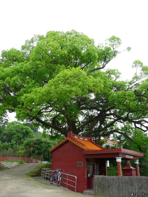 苗栗南庄向天湖仙山單日百里行