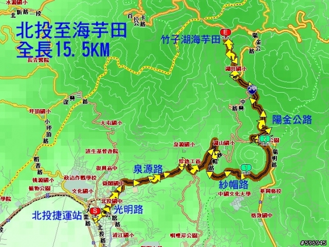 [影像回顧]4/12週六 竹子湖海芋花季