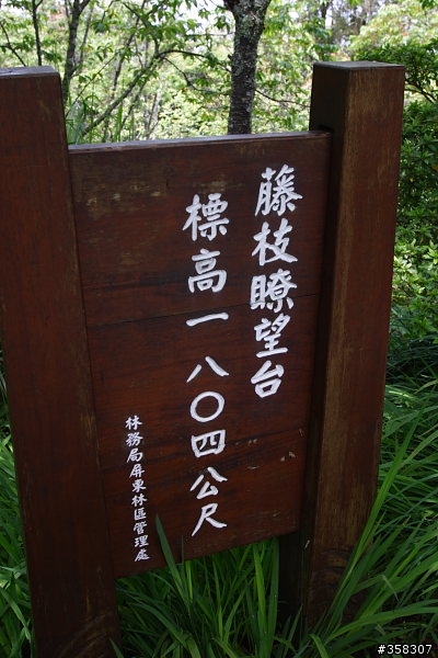 小百岳～東藤枝山