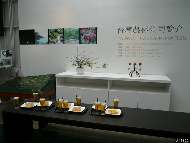 親近山林＆呼吸芬多精：熊空喝茶趣