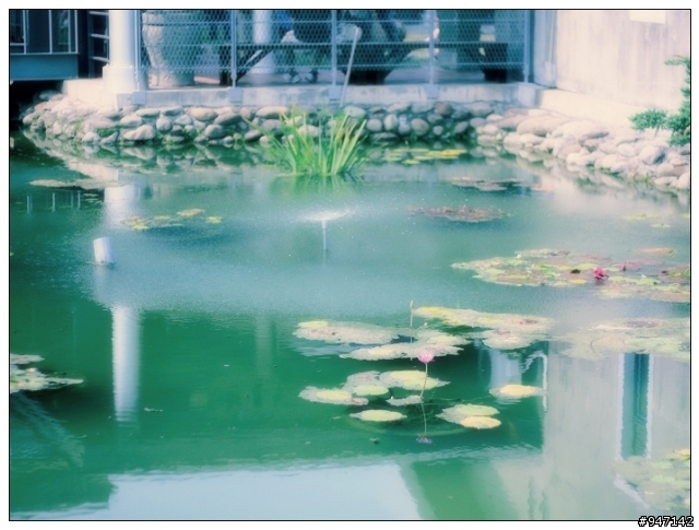 Canon EOS 450D 簽到區