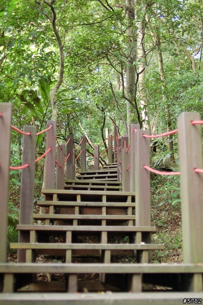 富陽自然生態公園