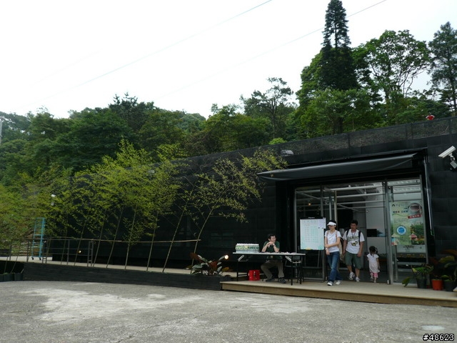 親近山林＆呼吸芬多精：熊空喝茶趣