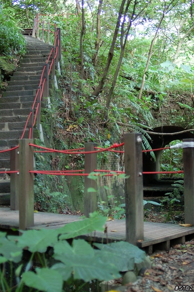 富陽自然生態公園