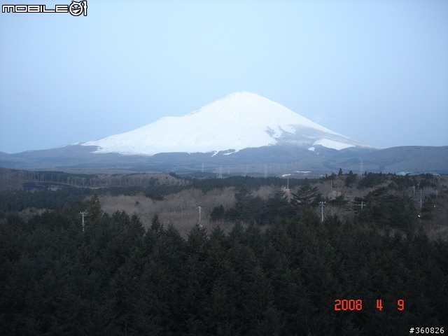 [圖多]狼狽之旅--東京賞櫻5日行