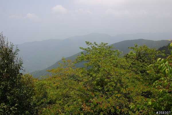 小百岳～東藤枝山