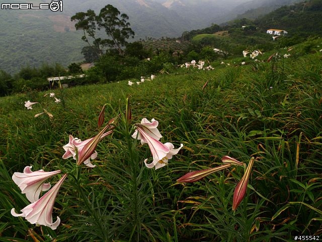 旅行良伴－E-510with12-60、70-300雙鏡【花東墾丁單身旅記】圖多