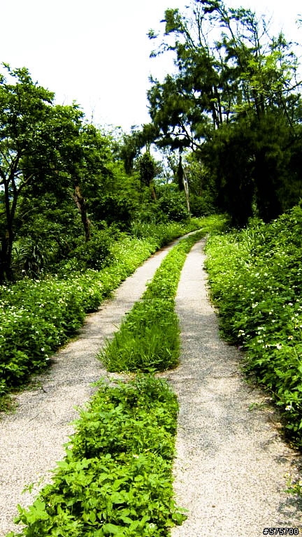 金山鐵馬道