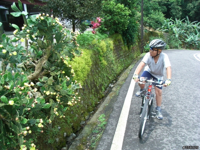 [遊記] 台北-宜蘭  非典型破百路線...(雙泰產業道路)