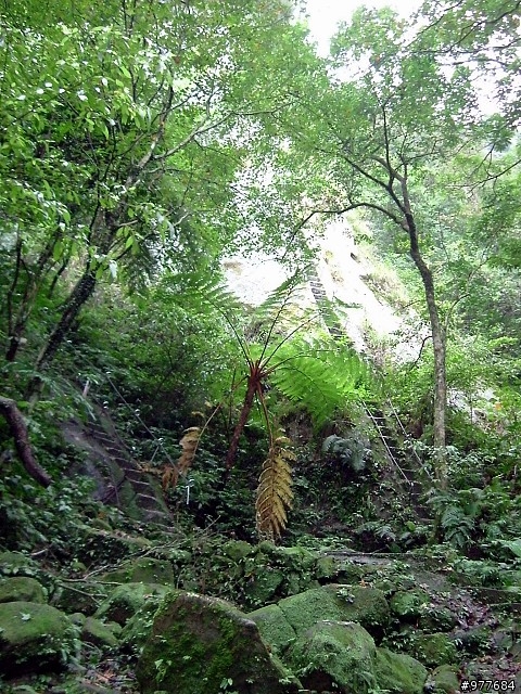 平溪孝子山&慈母峰(喜歡登山的大大們參考看看)