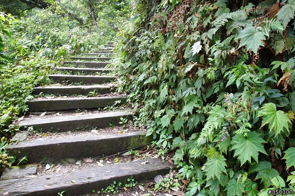 小百岳～東藤枝山