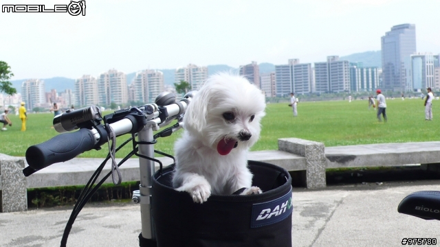【分享】小狗與小摺同遊～