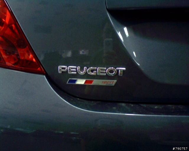 [分享] "柴七" 縱橫 - Peugeot 207 HDi