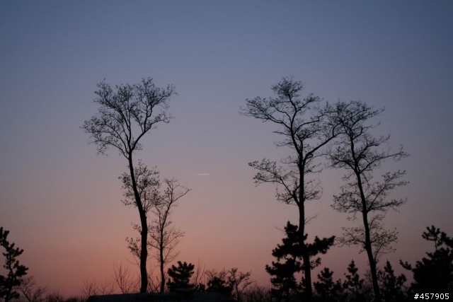 Canon 35mm F2 開箱試用報告