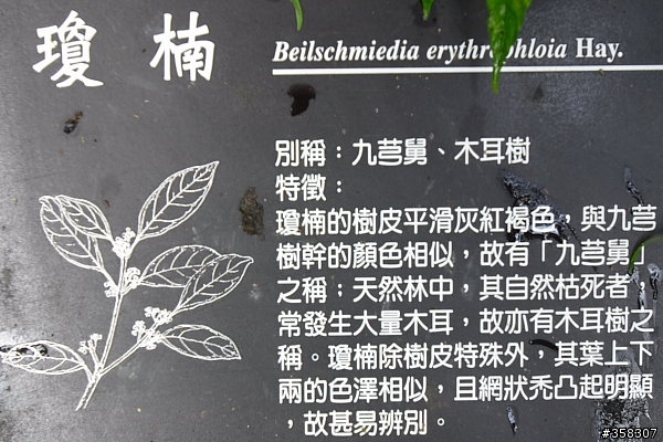 小百岳～東藤枝山