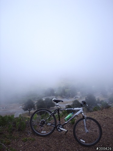 [遊記] 舊金山金門大橋 & Marin Headlands Loop