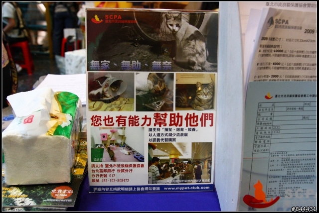 可愛貓咪的送養活動紀錄[台北市流浪貓保護協會]