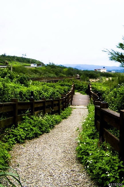 金山鐵馬道