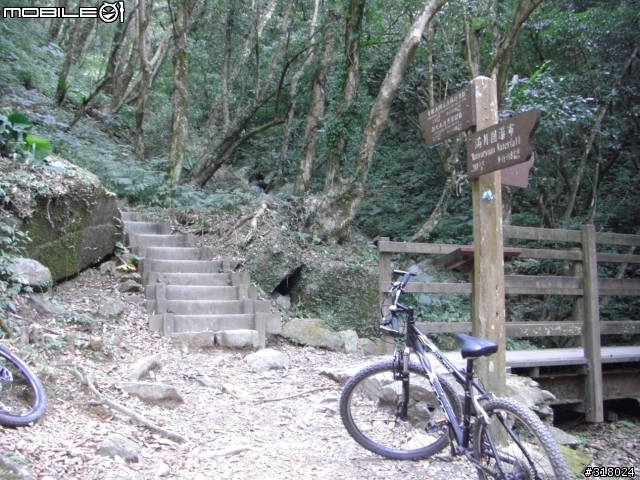[遊記] 東眼山縱走滿月園(50多張圖)
