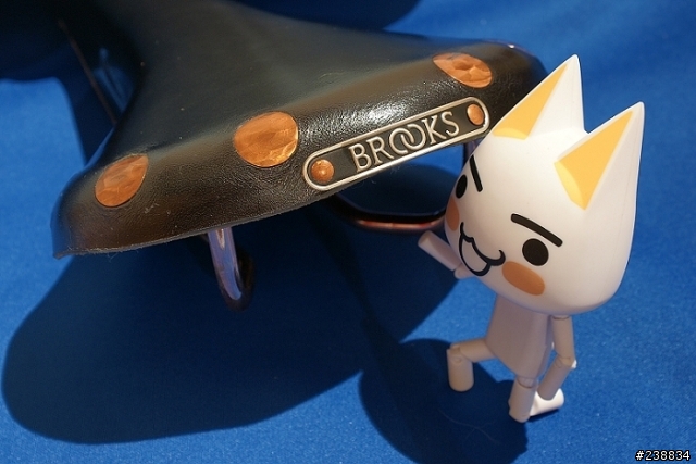 [分享]Brooks坐墊