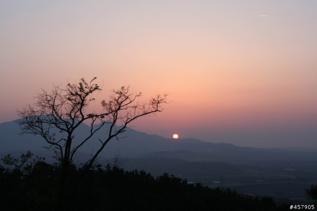 Canon 35mm F2 開箱試用報告