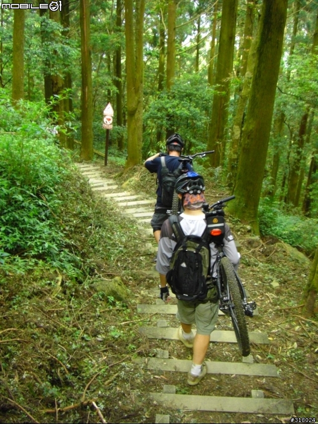 [遊記] 東眼山縱走滿月園(50多張圖)