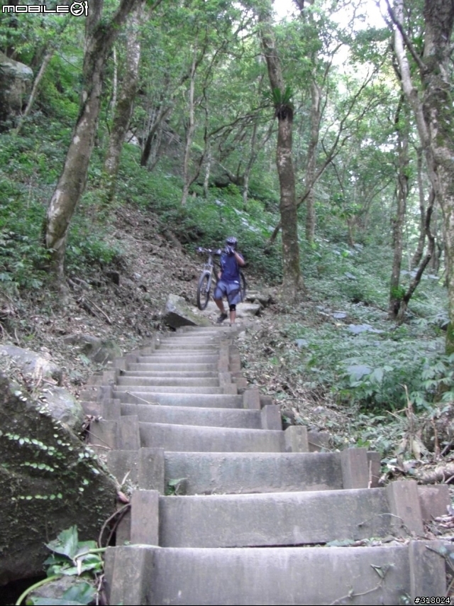 [遊記] 東眼山縱走滿月園(50多張圖)