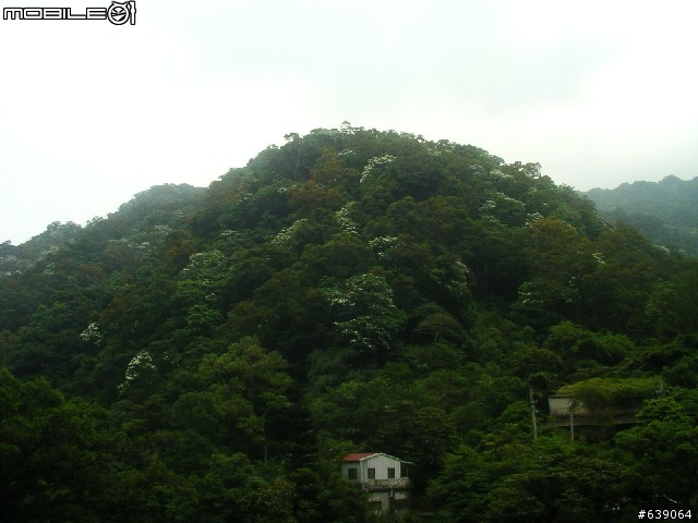 [DAHON同學會 遠征山道班] 0504北橫羅浮橋半日遊 - by Johnson