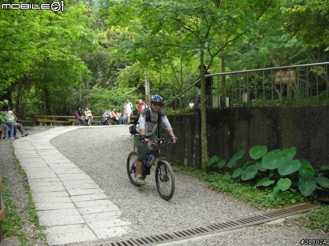 [遊記] 東眼山縱走滿月園(50多張圖)