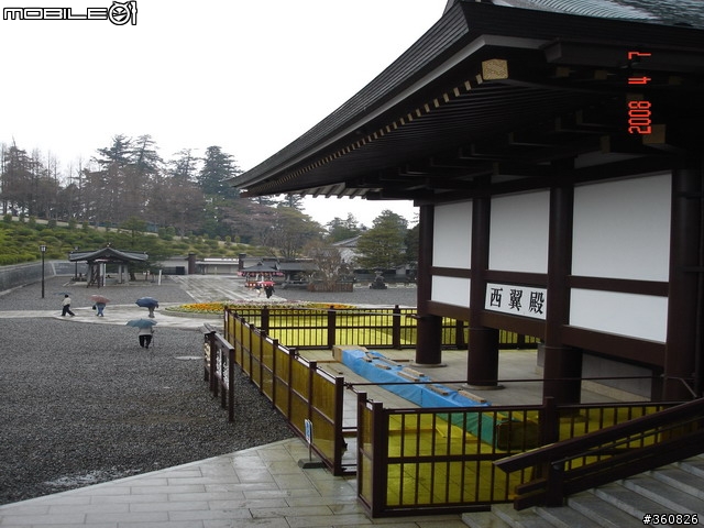 [圖多]狼狽之旅--東京賞櫻5日行