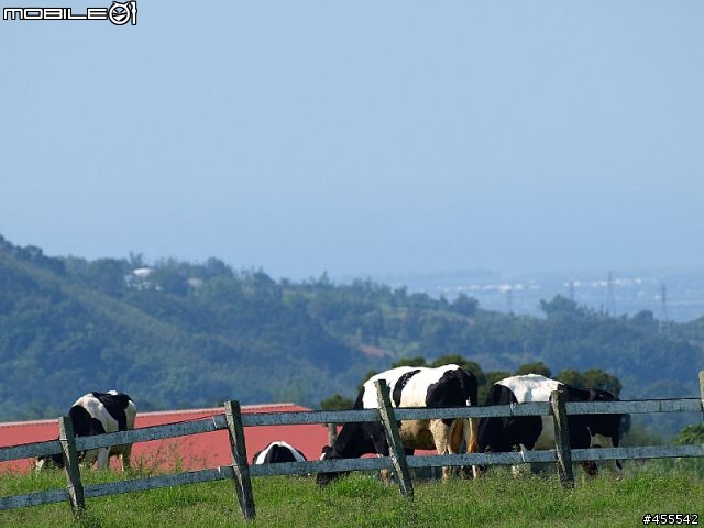 旅行良伴－E-510with12-60、70-300雙鏡【花東墾丁單身旅記】圖多