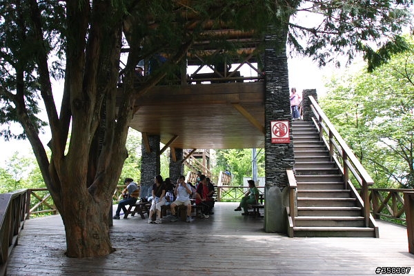 小百岳～東藤枝山