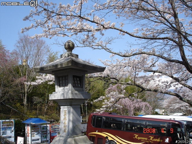 [圖多]狼狽之旅--東京賞櫻5日行