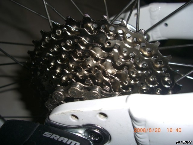 Dahon Mu P24 - 520國宴熱騰騰上菜囉！