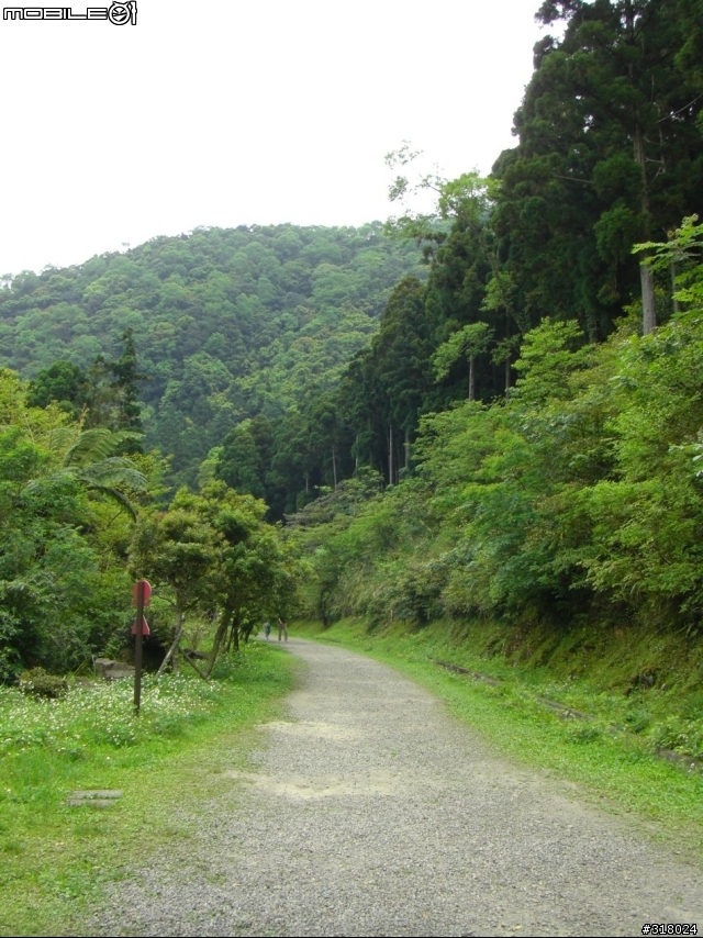 [遊記] 東眼山縱走滿月園(50多張圖)