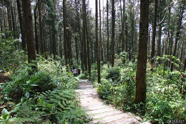 小百岳～東藤枝山