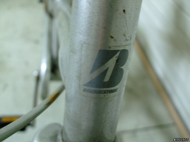 【分享】日本BRIDGESTONE(普利司通)單速淑女車換新裝