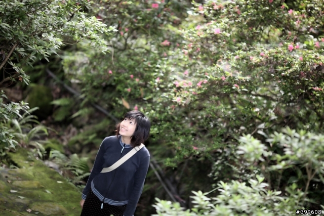 小靜 <陽明山>