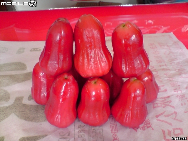 [分享]我家也有飛彈出現
