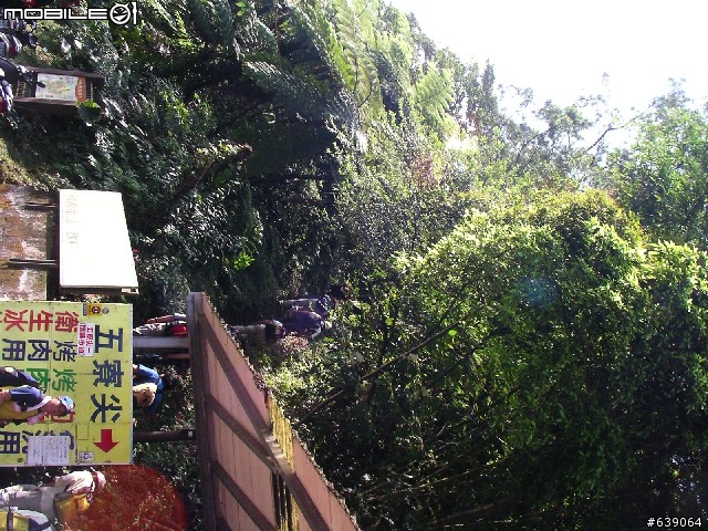 [DAHON同學會 遠征山道班] 0504北橫羅浮橋半日遊 - by Johnson