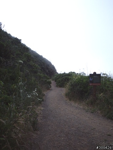 [遊記] 舊金山金門大橋 & Marin Headlands Loop