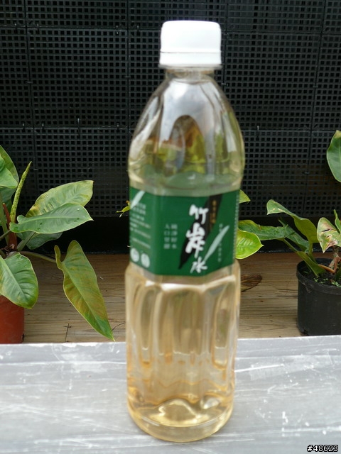 親近山林＆呼吸芬多精：熊空喝茶趣
