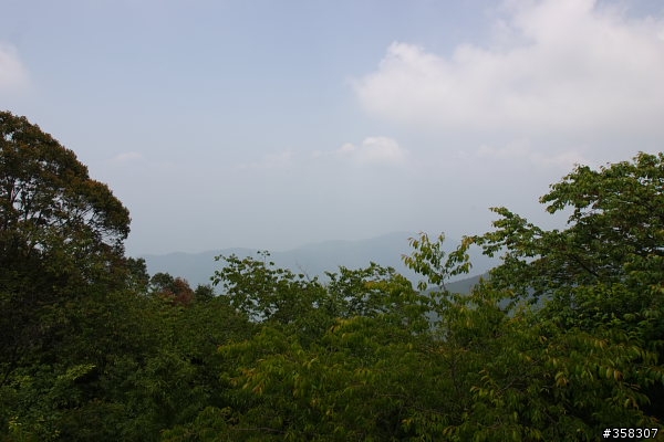 小百岳～東藤枝山