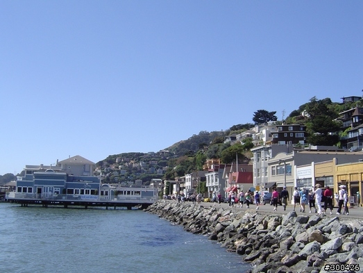 [遊記] 舊金山金門大橋 & Marin Headlands Loop