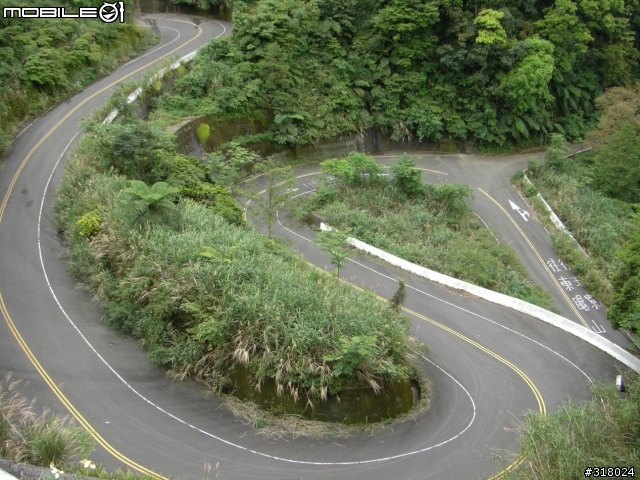 [遊記] 東眼山縱走滿月園(50多張圖)