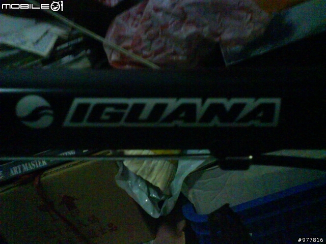 站上有沒有用IGUANA越野或分享騎IGUANA的感覺和探討IGUANA