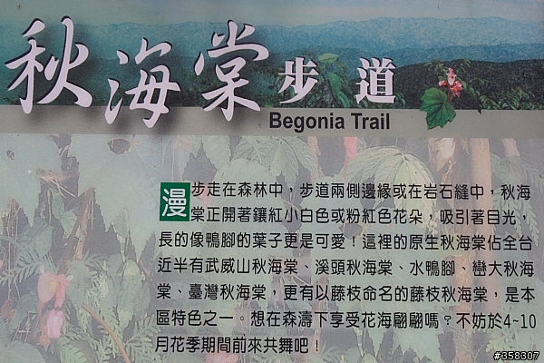 小百岳～東藤枝山