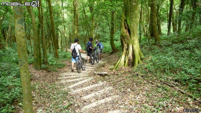 [遊記] 東眼山縱走滿月園(50多張圖)