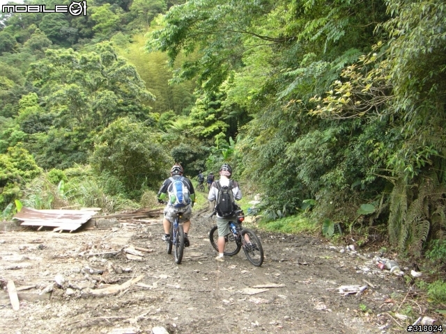 [遊記] 東眼山縱走滿月園(50多張圖)