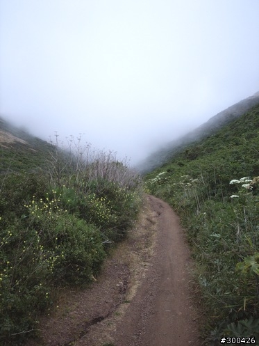 [遊記] 舊金山金門大橋 & Marin Headlands Loop
